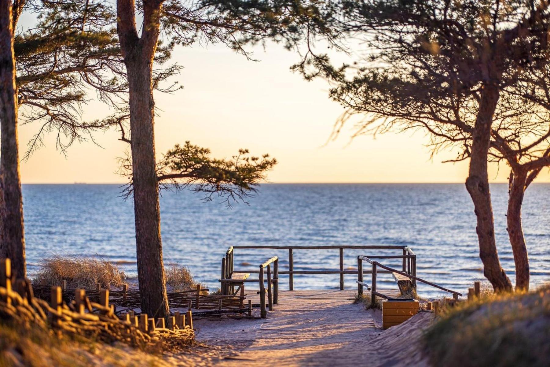 Zalia Kopa Apartments Palanga Luaran gambar
