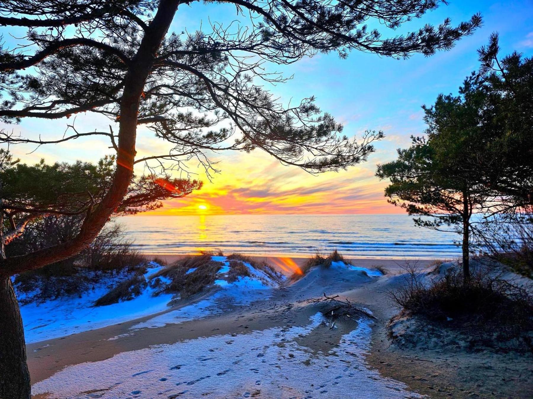 Zalia Kopa Apartments Palanga Luaran gambar
